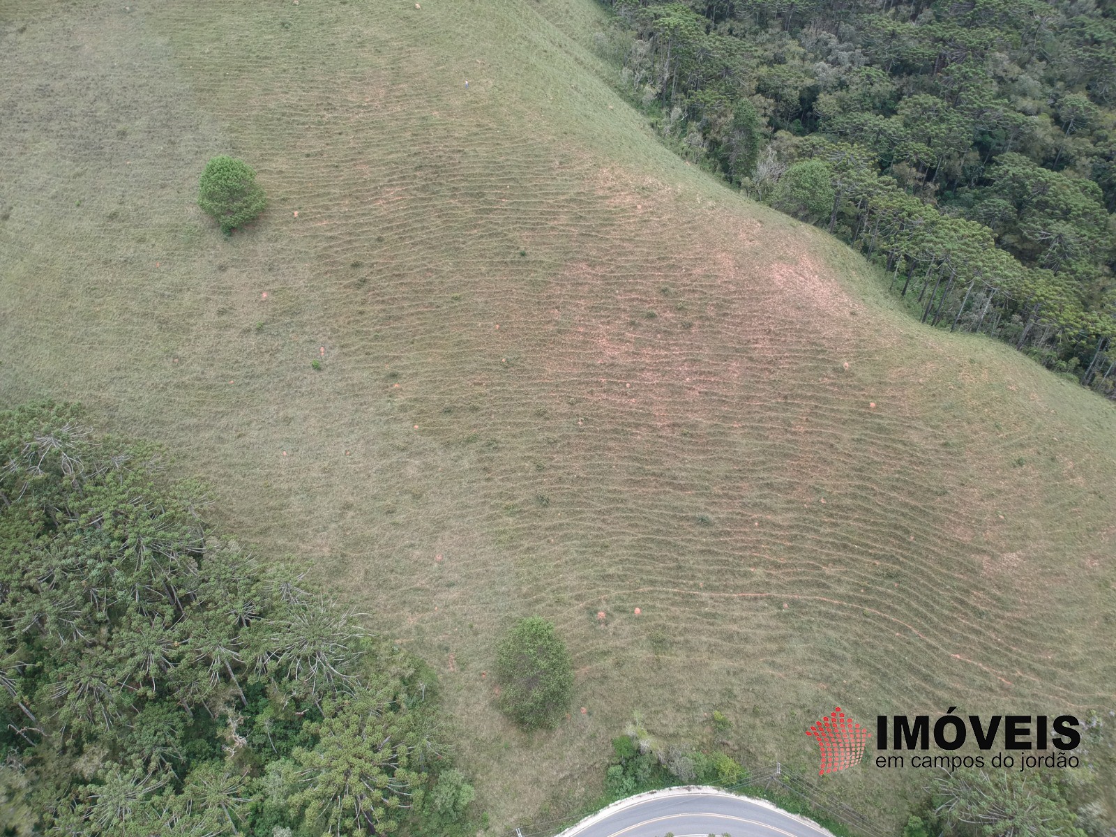 0 para Áreas para Incorporação - Venda em Campos do Jordão