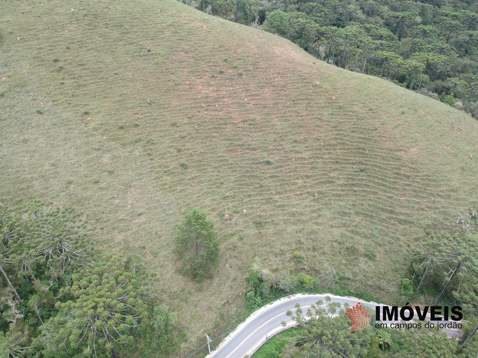 0 para Áreas para Incorporação - Venda em Campos do Jordão