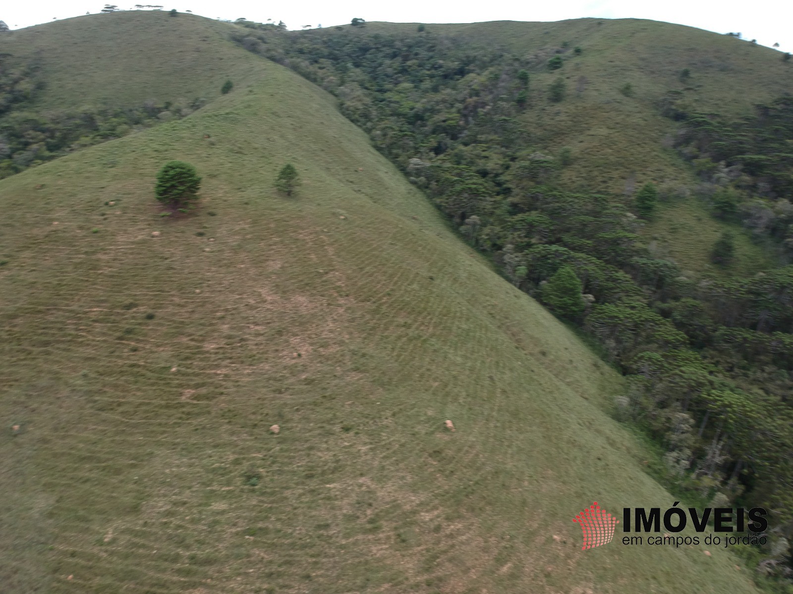 0 para Áreas para Incorporação - Venda em Campos do Jordão