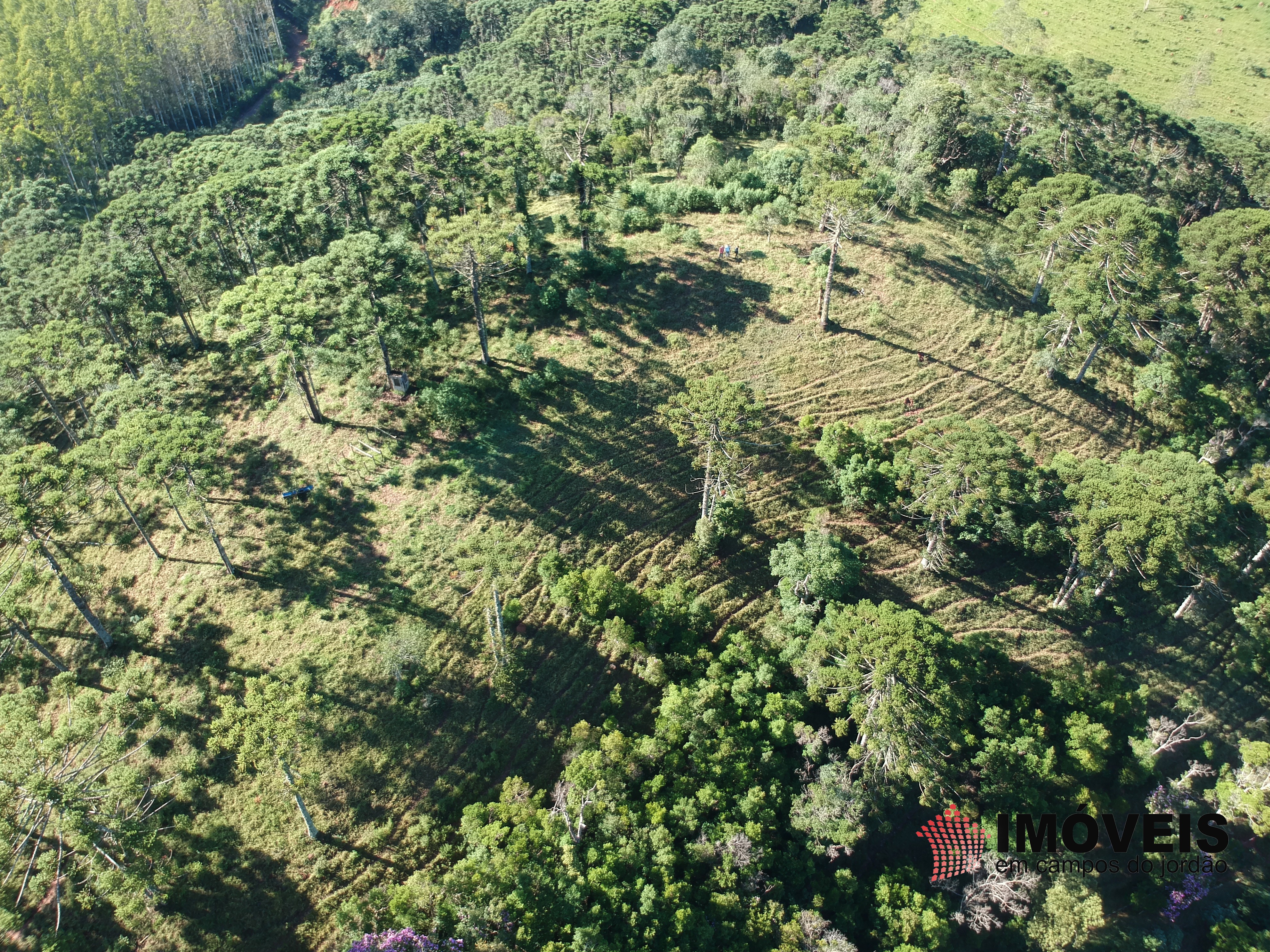 0 para Haras - Venda em Campos do Jordão