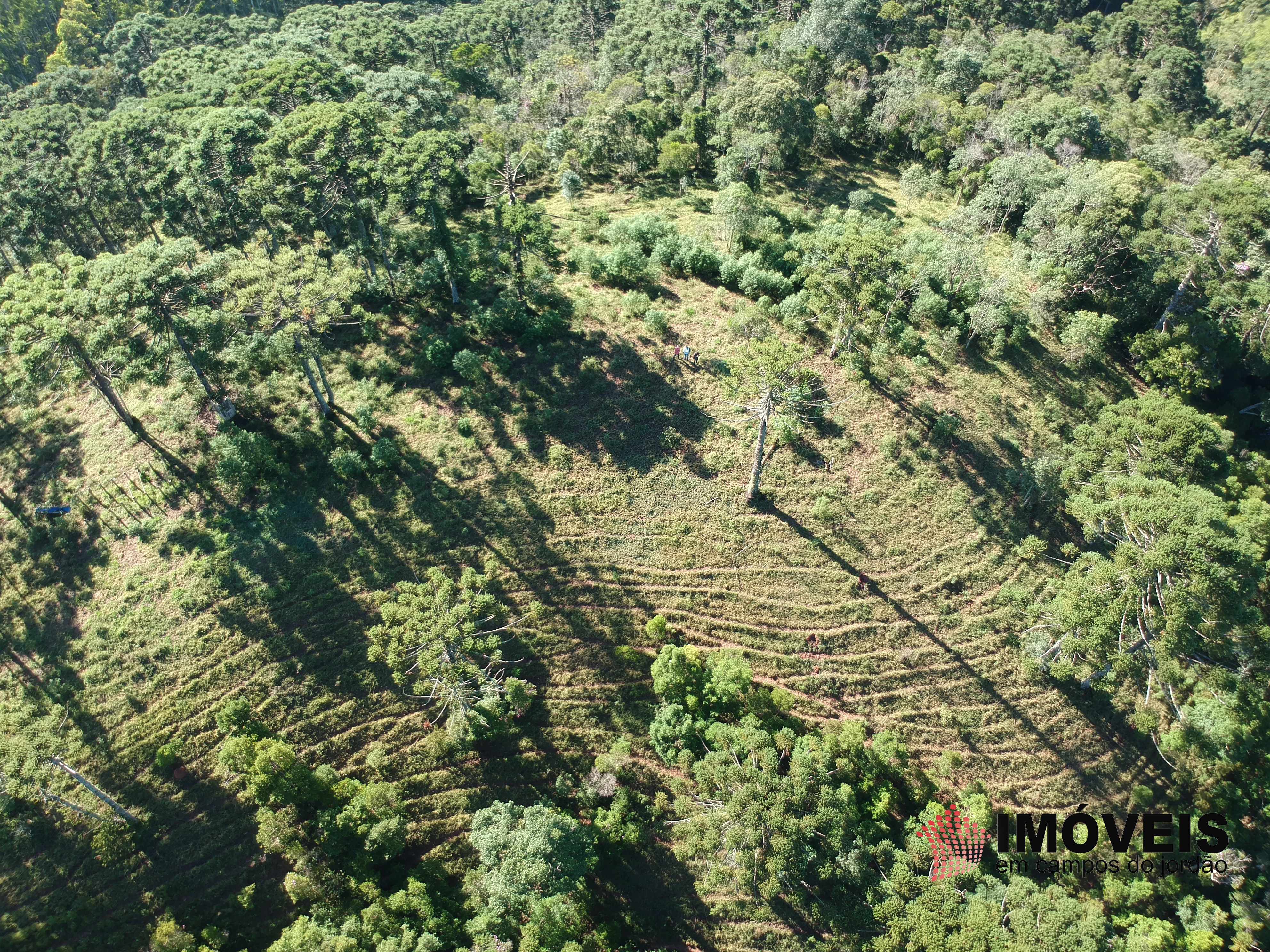 0 para Haras - Venda em Campos do Jordão