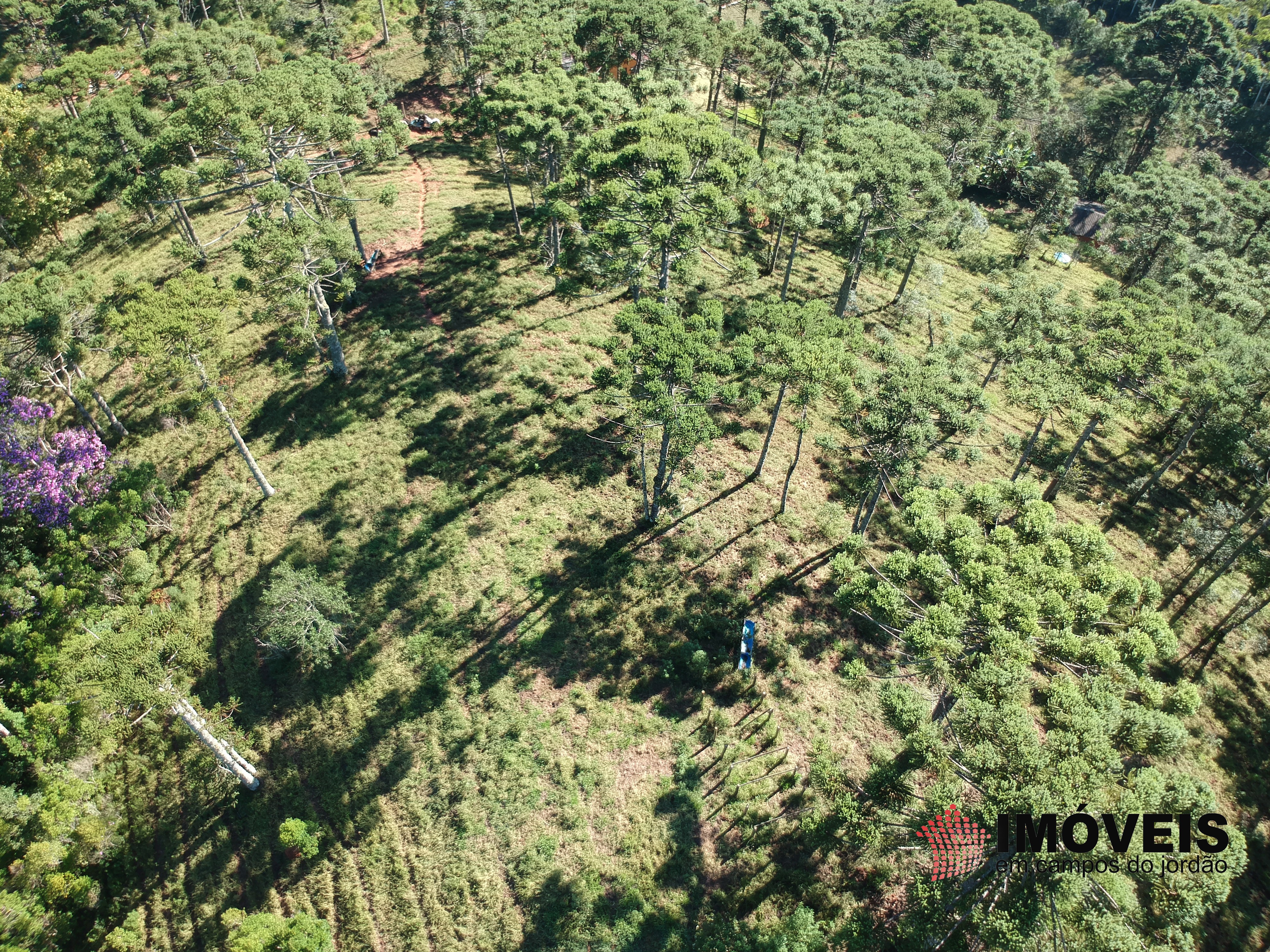 0 para Haras - Venda em Campos do Jordão
