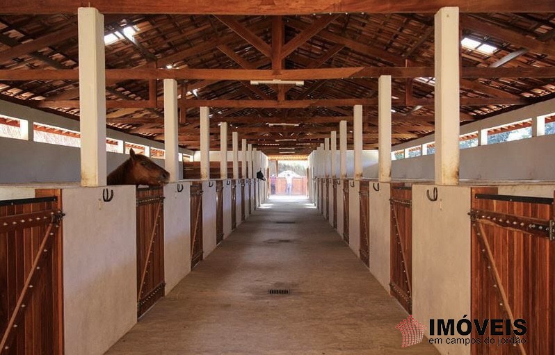 0 para Haras - Venda em Campos do Jordão