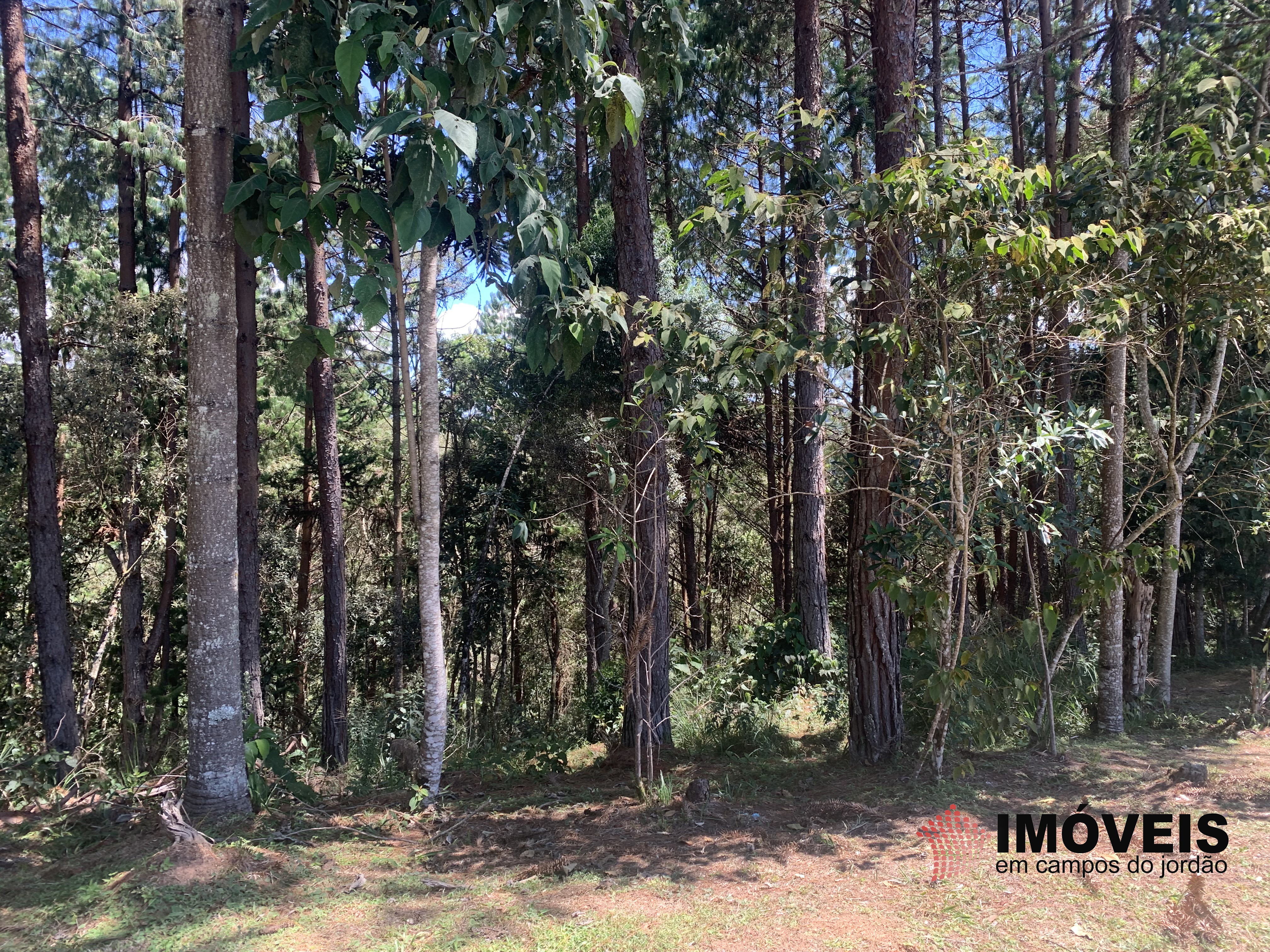 0 para Terrenos - Venda em Campos do Jordão