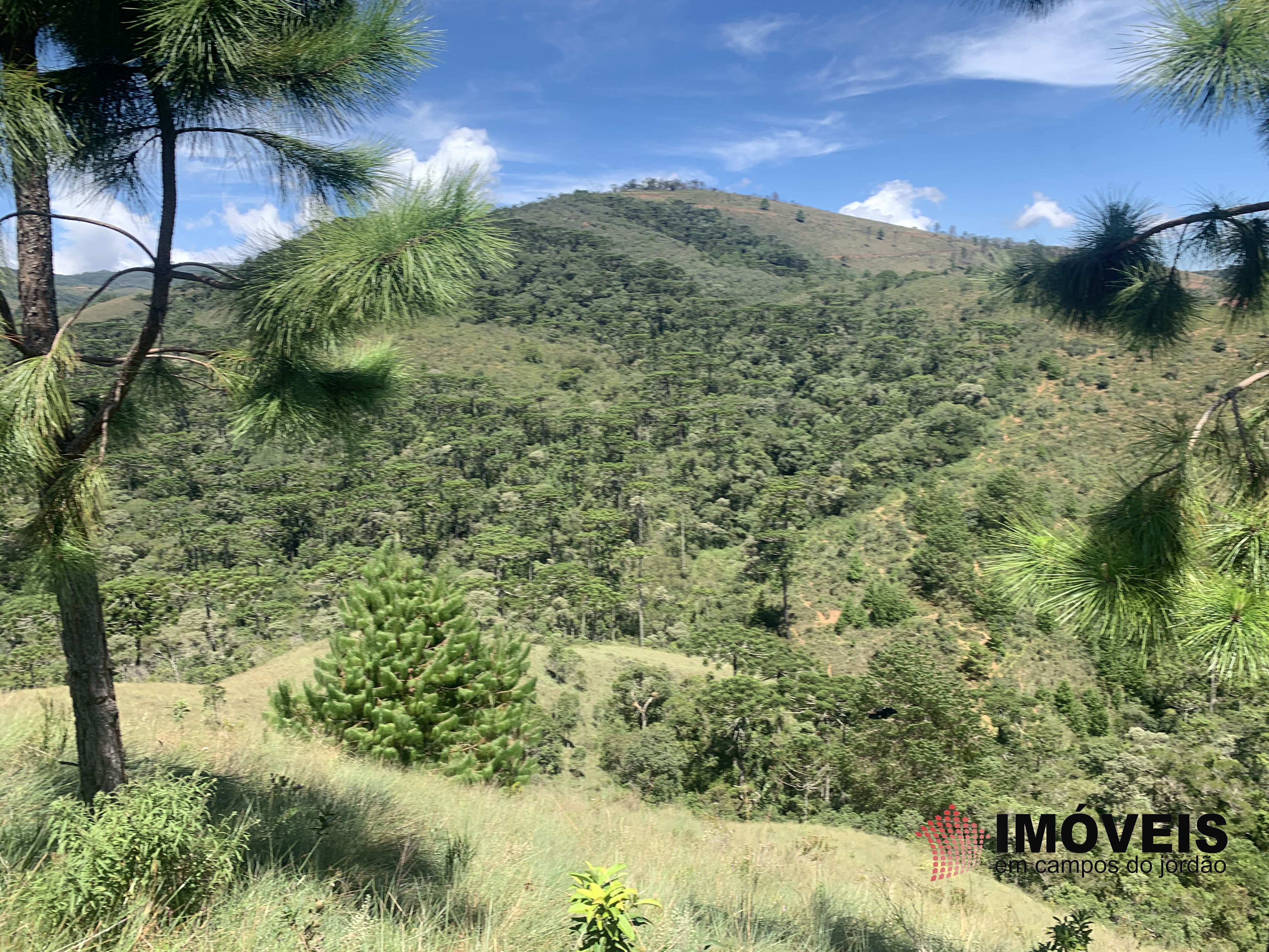 Terreno para Venda