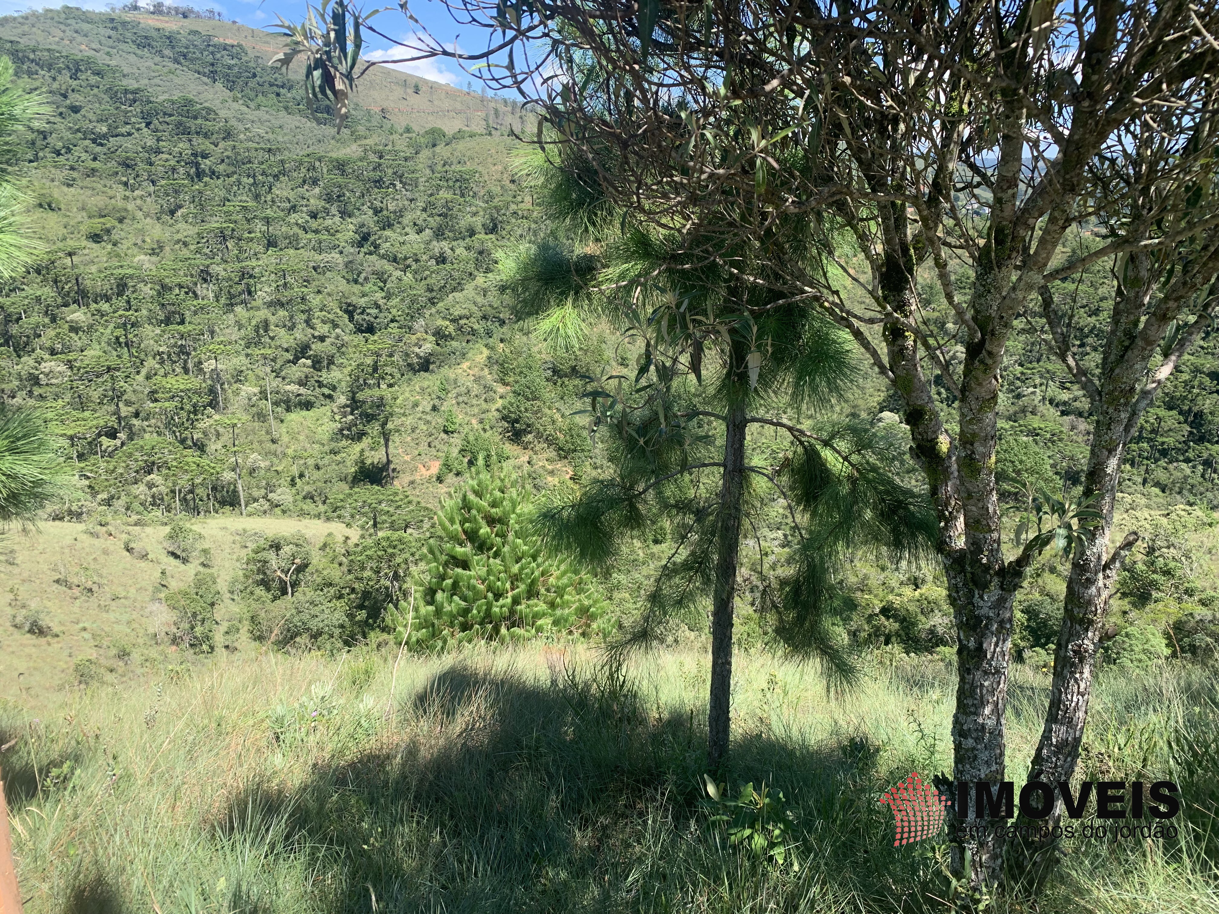 0 para Terrenos - Venda em Campos do Jordão