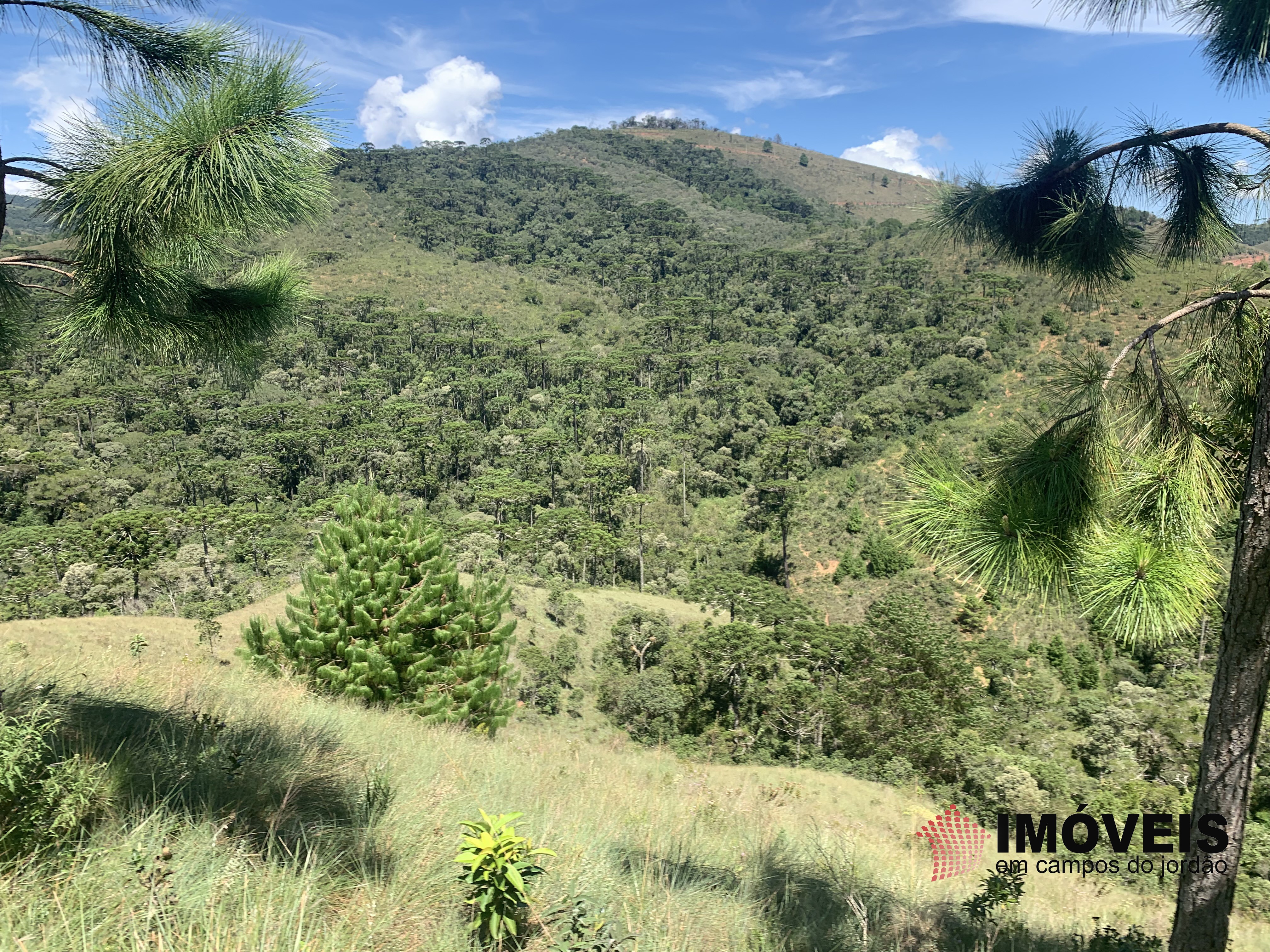 0 para Terrenos - Venda em Campos do Jordão