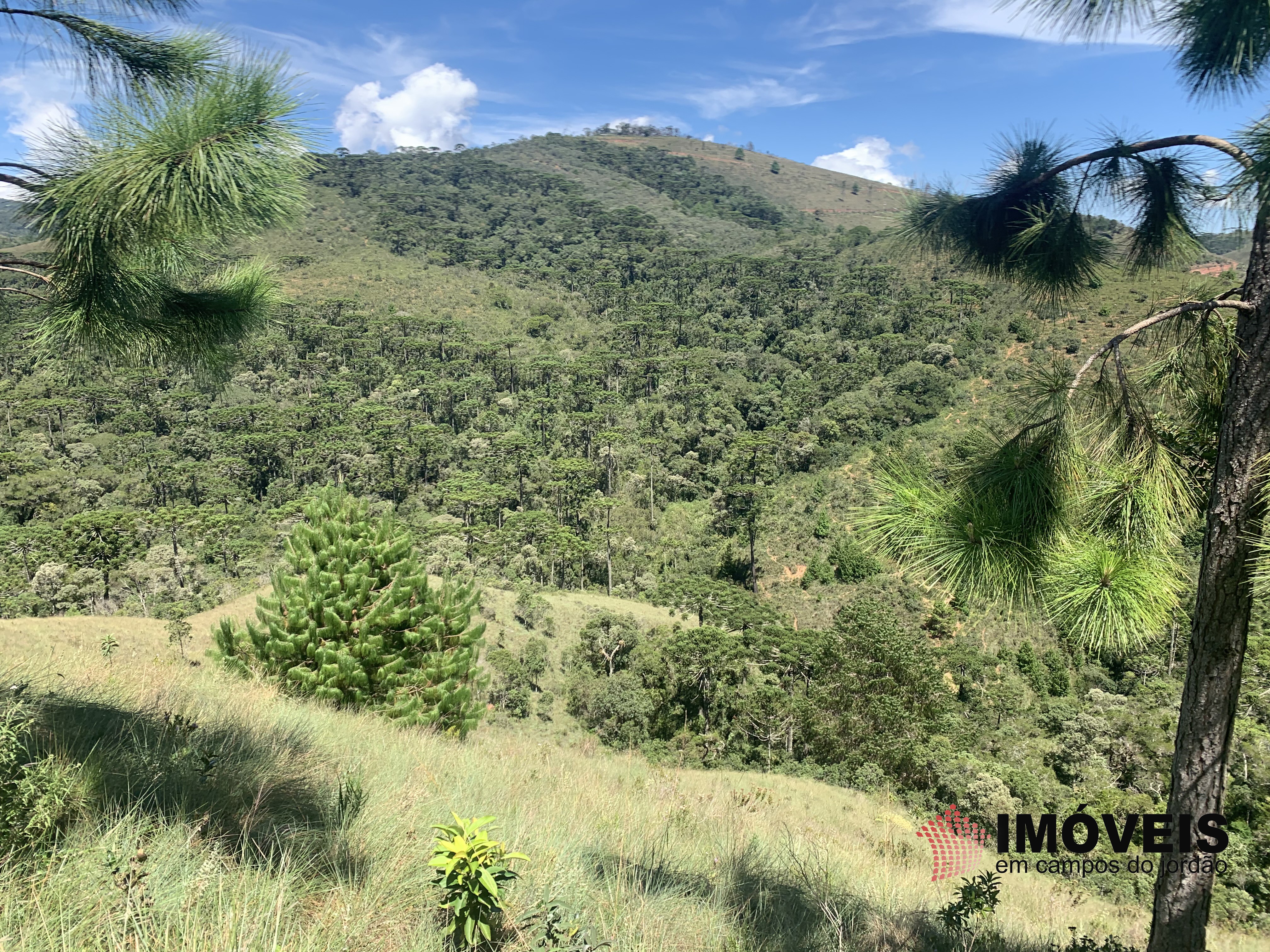 0 para Terrenos - Venda em Campos do Jordão