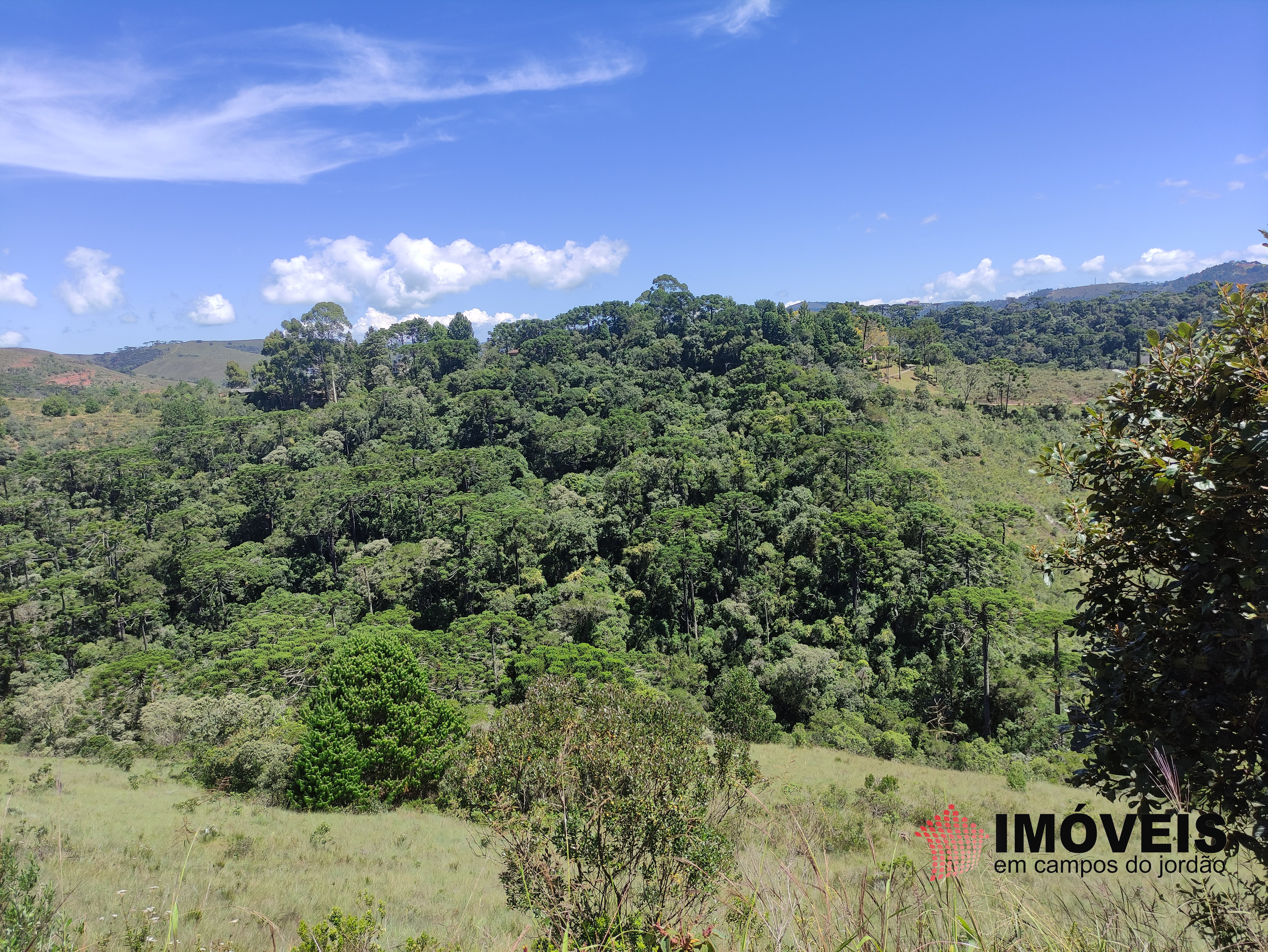 0 para Terrenos - Venda em Campos do Jordão
