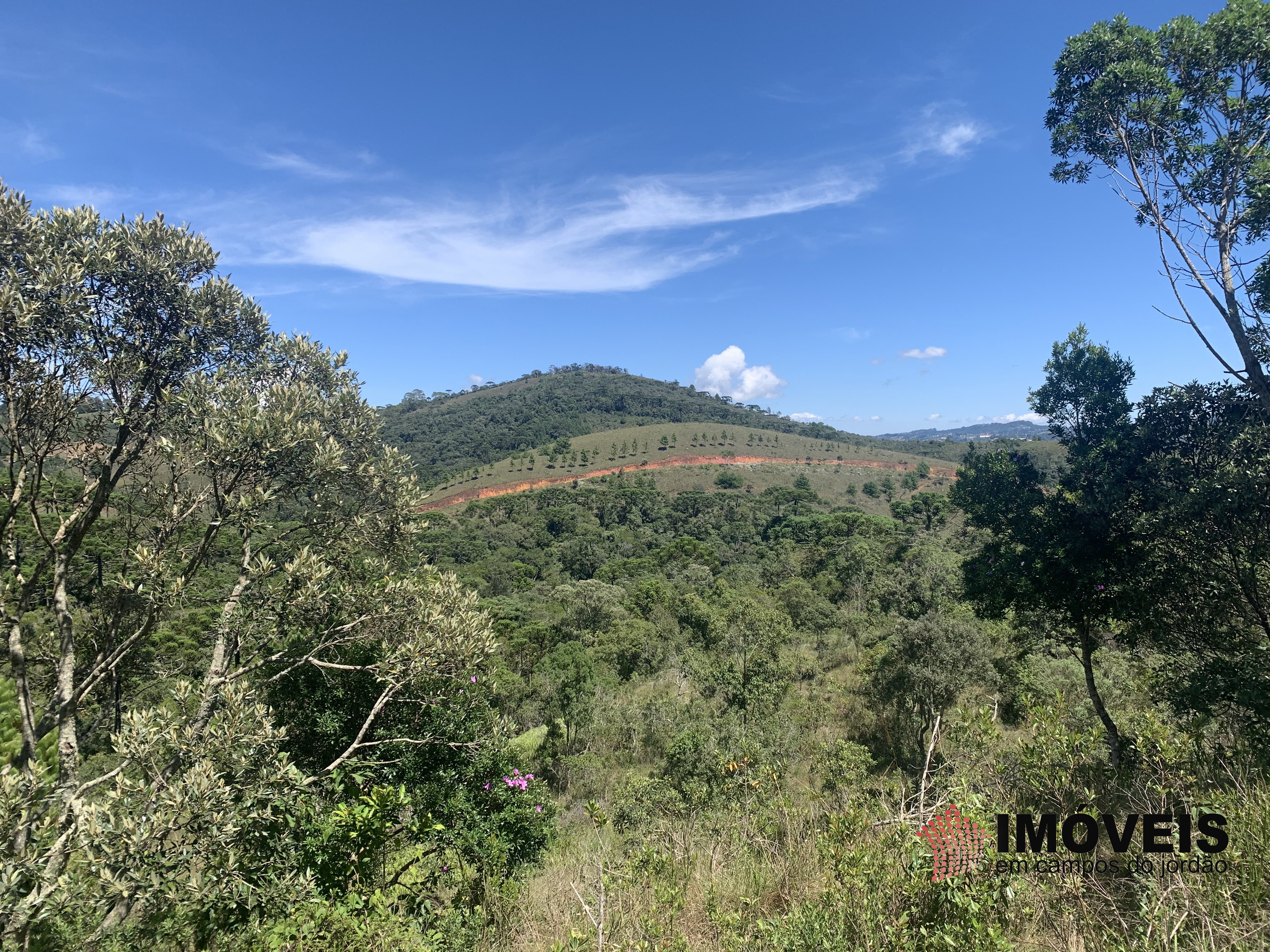 Terreno para Venda