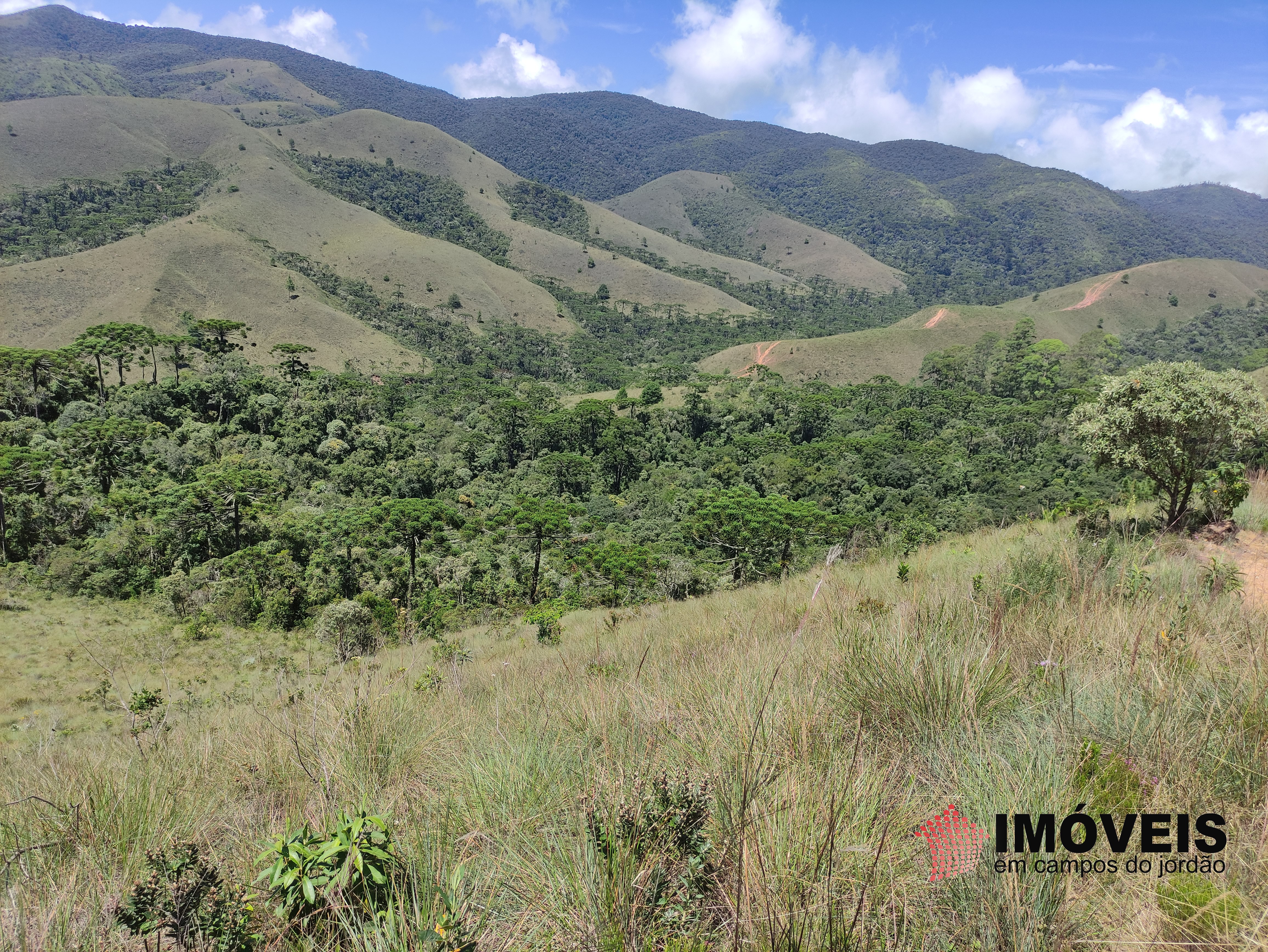 Terreno para Venda
