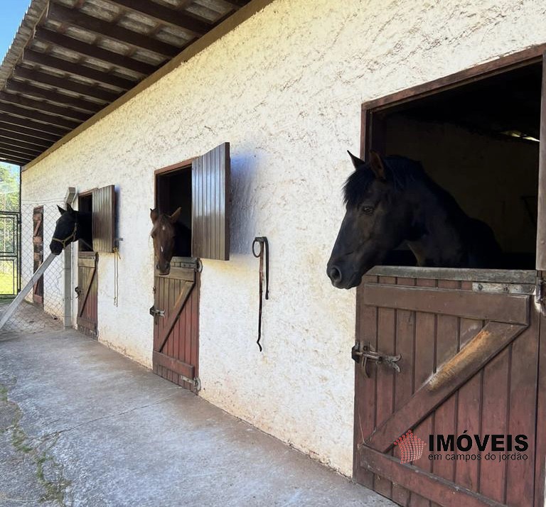 0 para Haras - Venda em Campos do Jordão