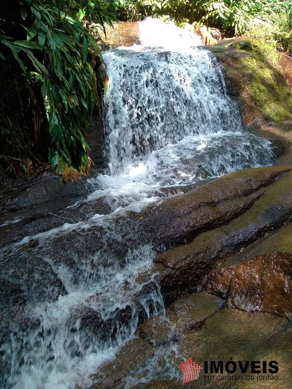 0 para Terrenos - Venda em Campos do Jordão