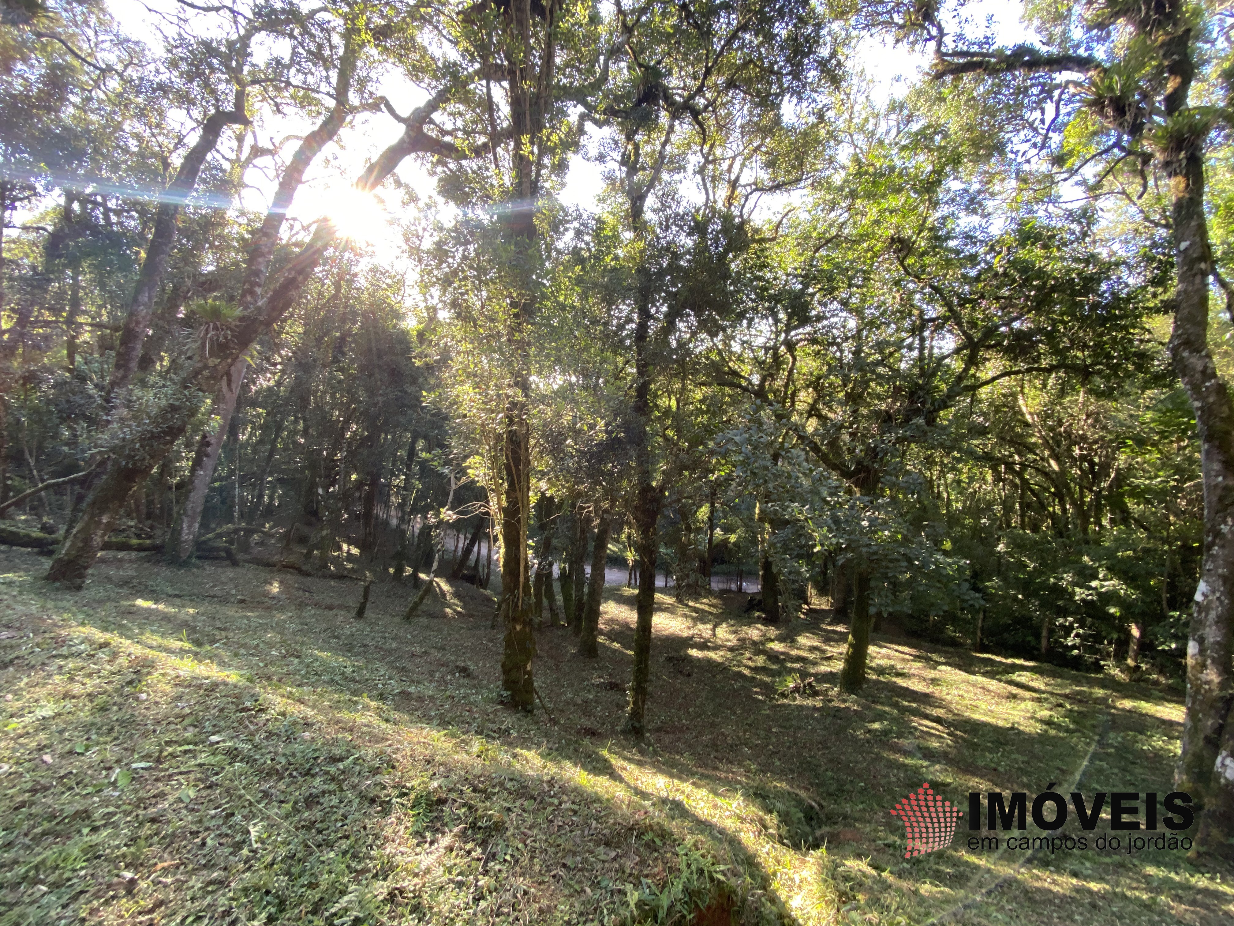 Terreno para Venda