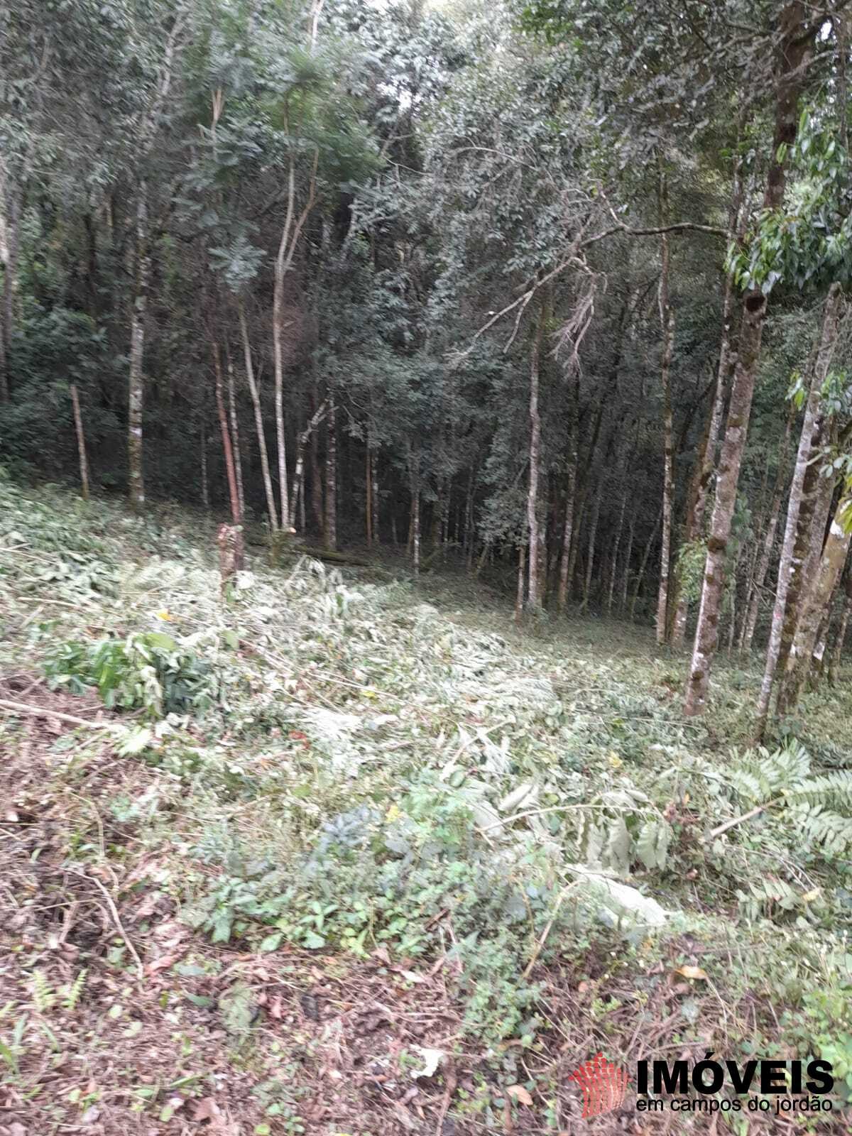 Terreno para Venda