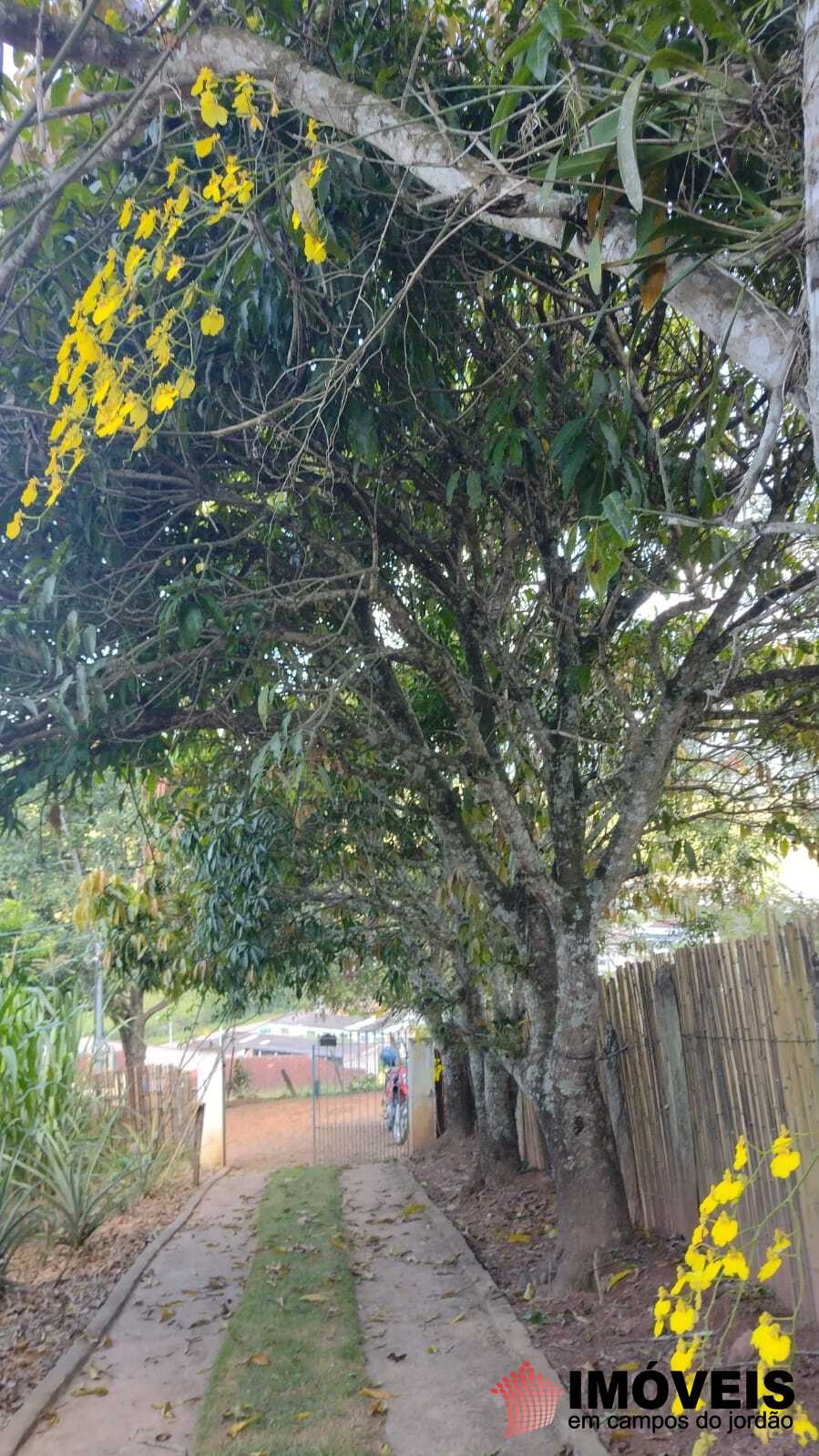 0 para Sítios - Venda em Campos do Jordão