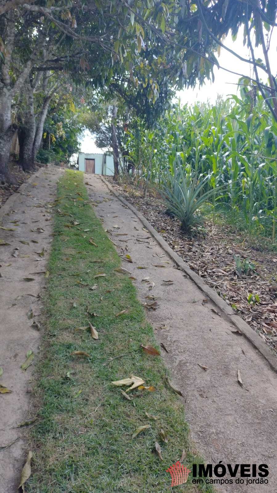 0 para Sítios - Venda em Campos do Jordão