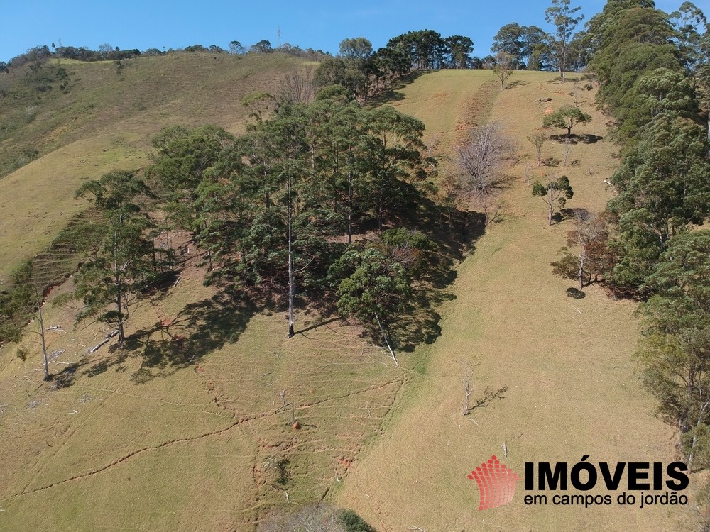 0 para Sítios - Venda em Campos do Jordão