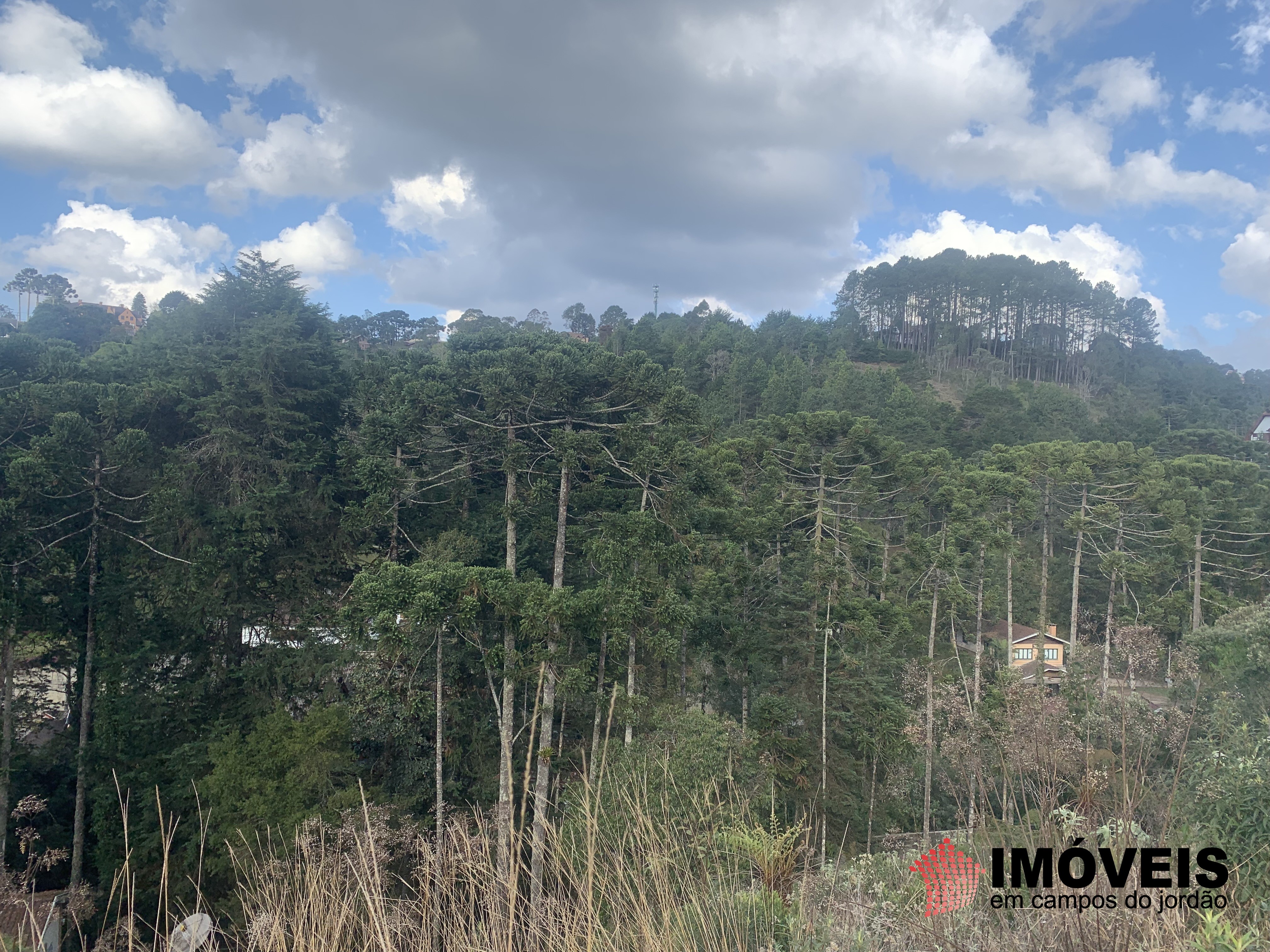 Terreno para Venda