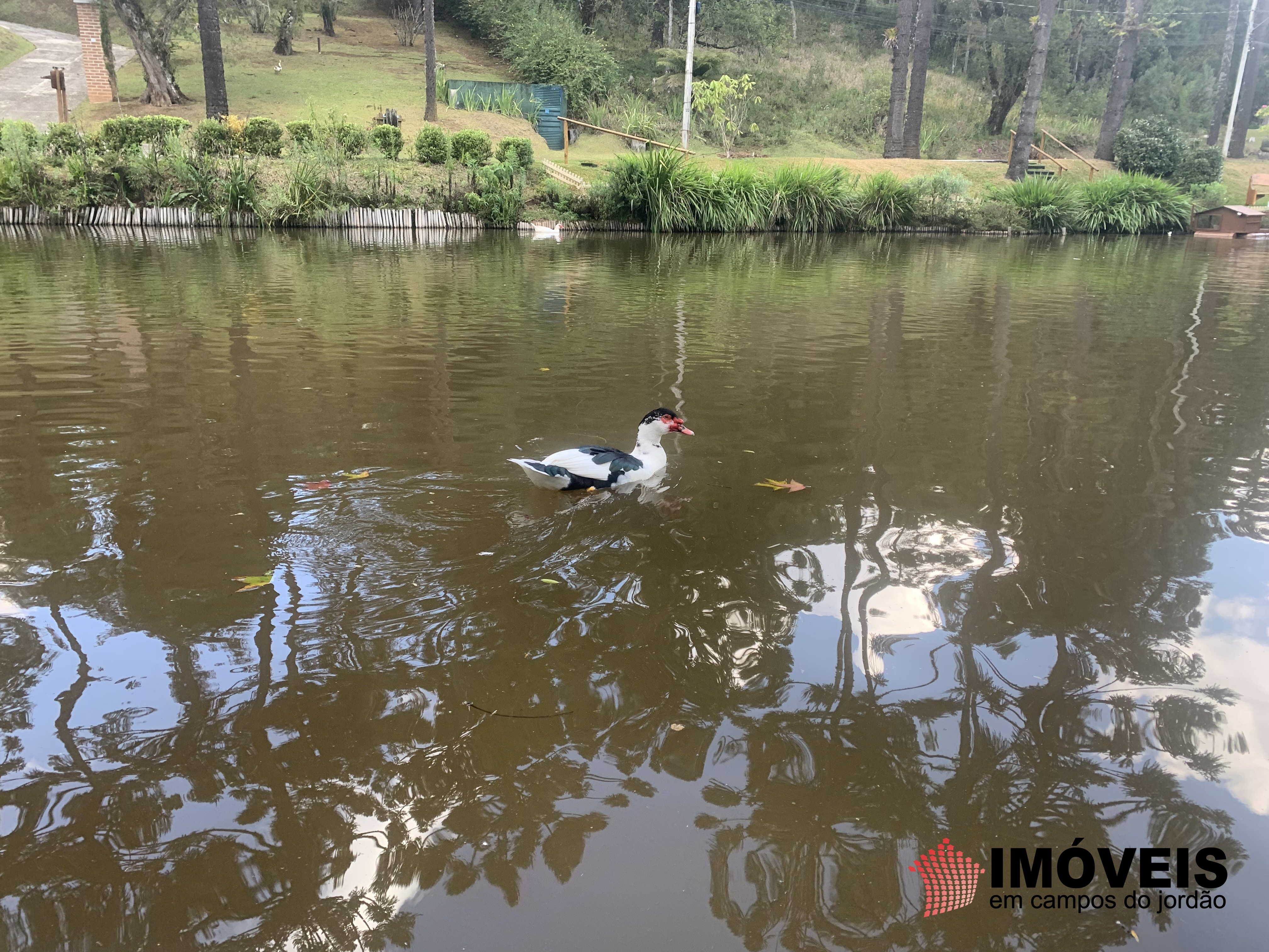 0 para Terrenos - Venda em Campos do Jordão