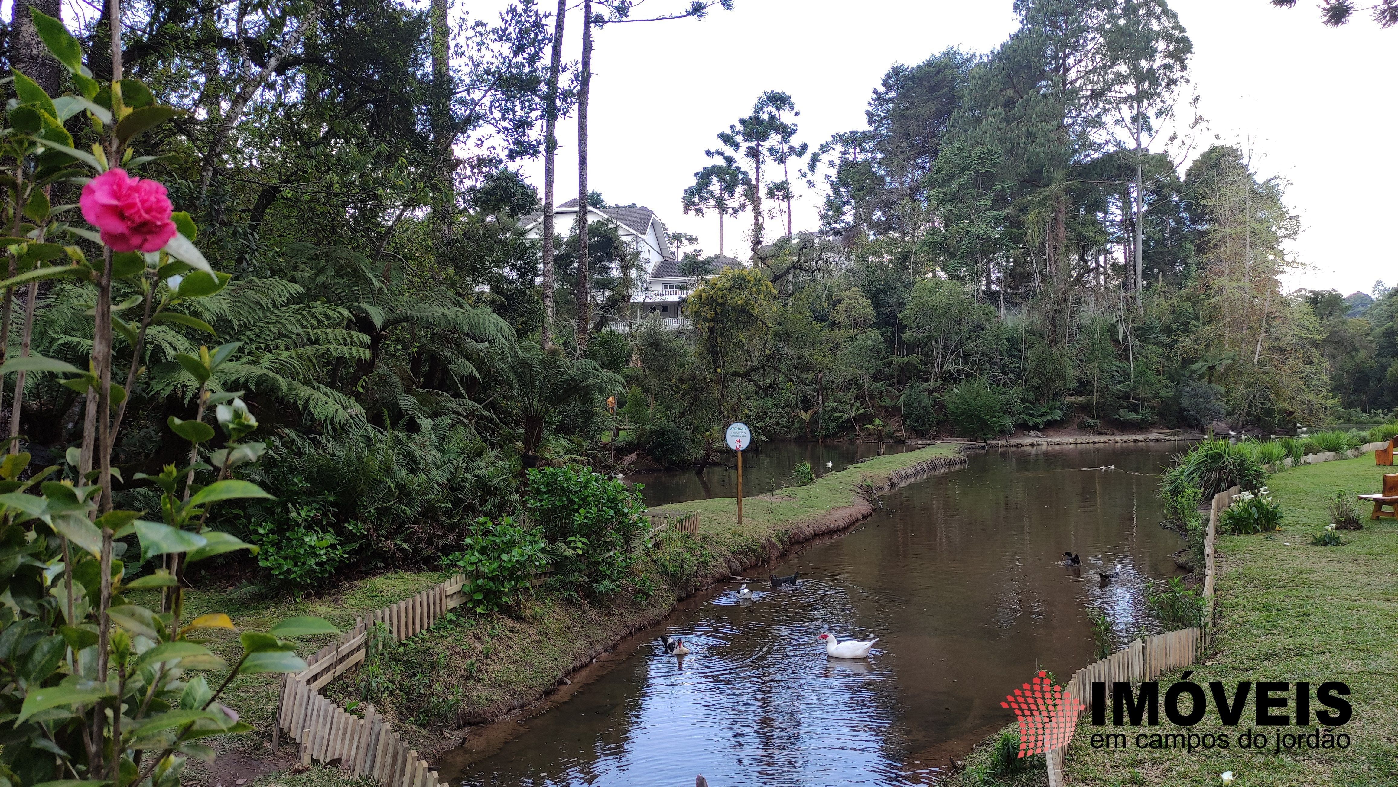 0 para Terrenos - Venda em Campos do Jordão