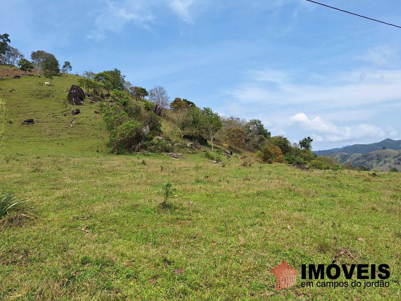 0 para Sítios - Venda em Campos do Jordão