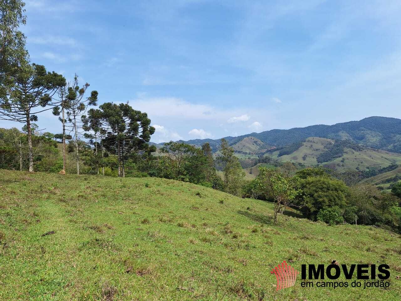 0 para Sítios - Venda em Campos do Jordão