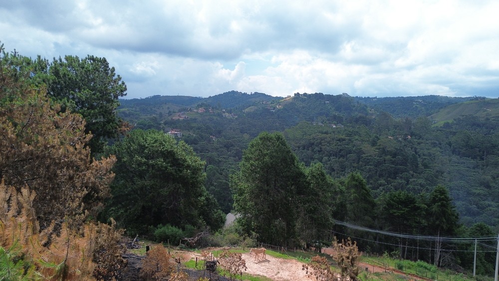0 para Terrenos - Venda em Campos do Jordão