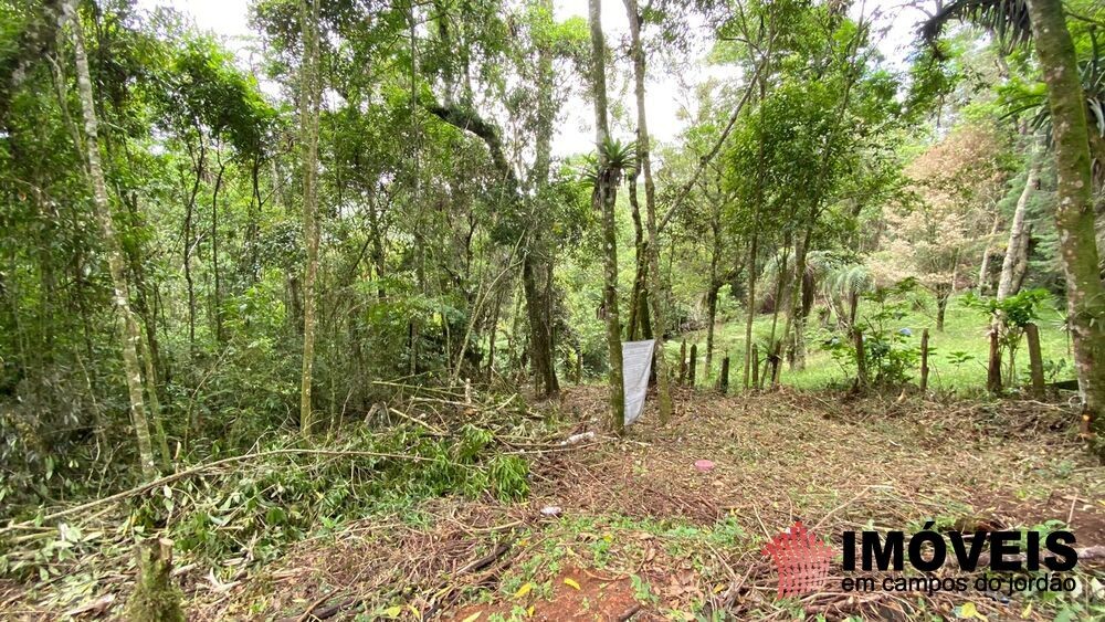 0 para Terrenos - Venda em Campos do Jordão