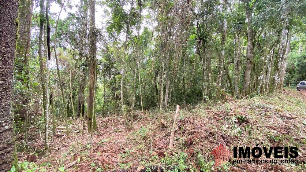 0 para Terrenos - Venda em Campos do Jordão
