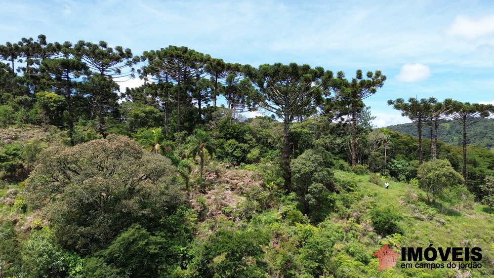0 para Terrenos - Venda em Campos do Jordão