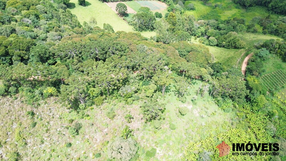 0 para Terrenos - Venda em Campos do Jordão