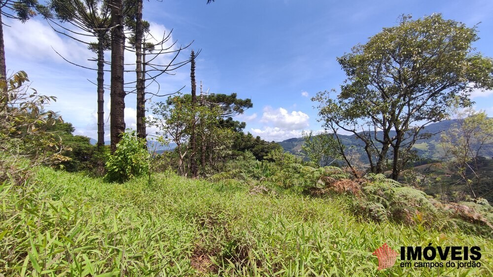 0 para Terrenos - Venda em Campos do Jordão
