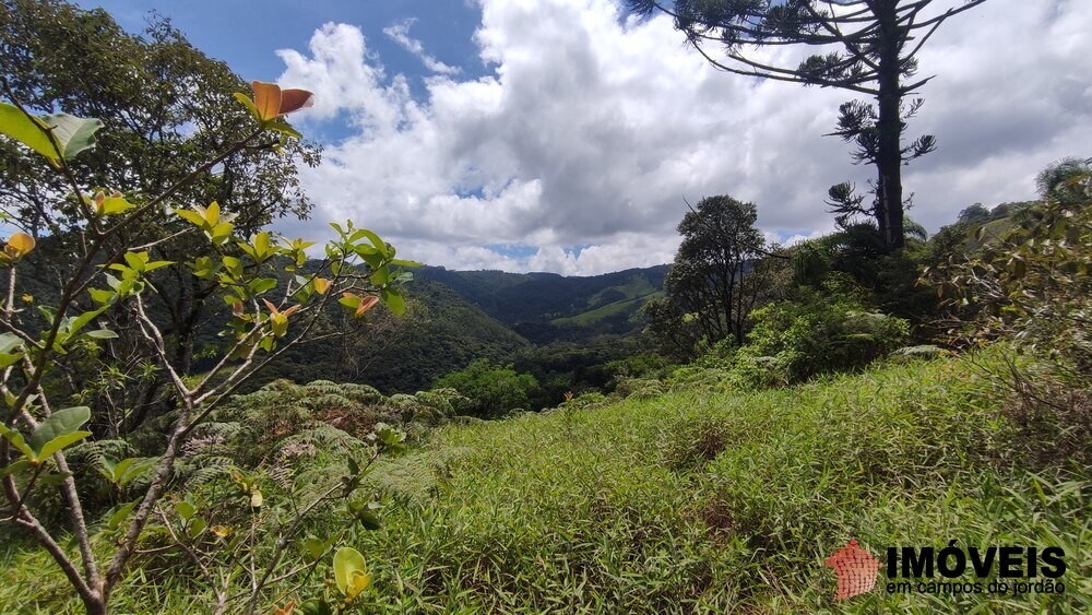 0 para Terrenos - Venda em Campos do Jordão