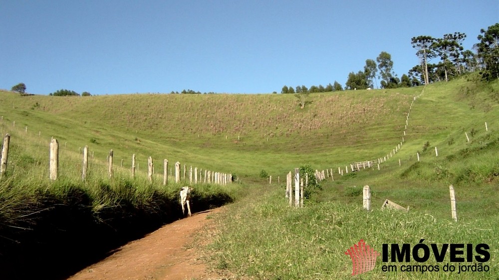 0 para Fazendas - Venda em Campos do Jordão