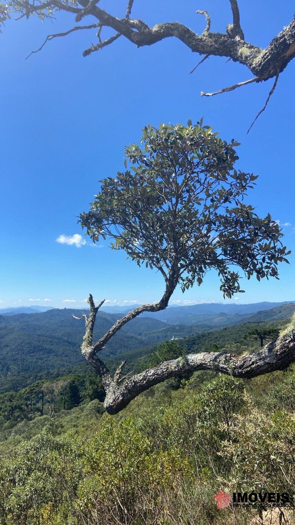0 para Terrenos - Venda em Campos do Jordão