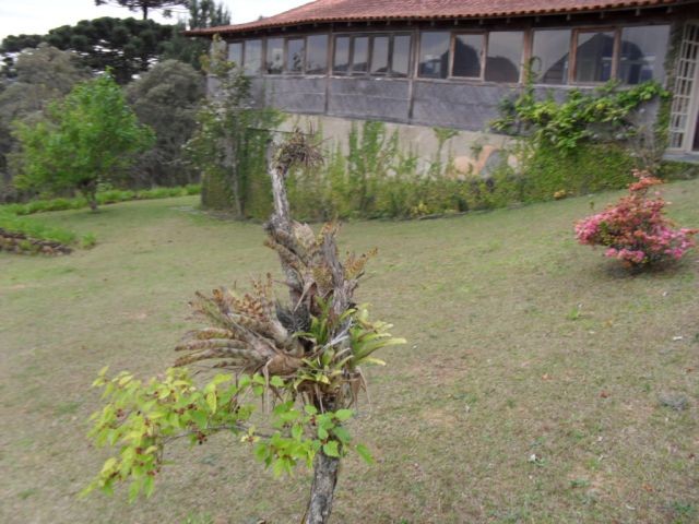 0 para Casas - Venda em Campos do Jordão