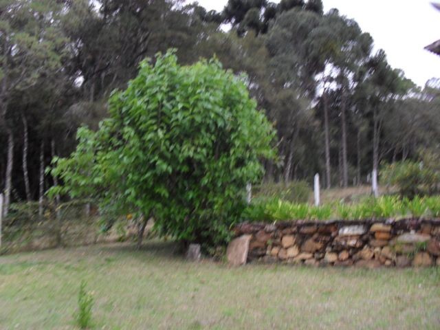 0 para Casas - Venda em Campos do Jordão