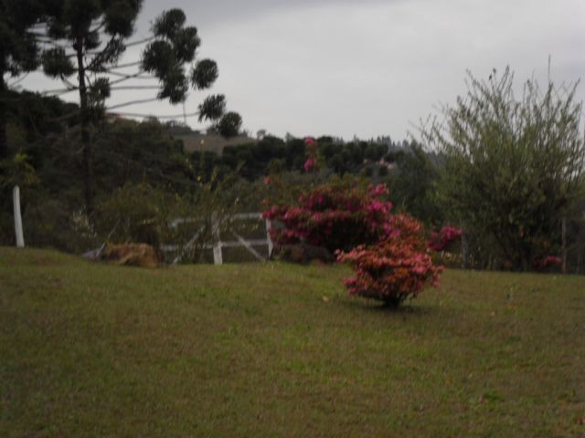 0 para Casas - Venda em Campos do Jordão