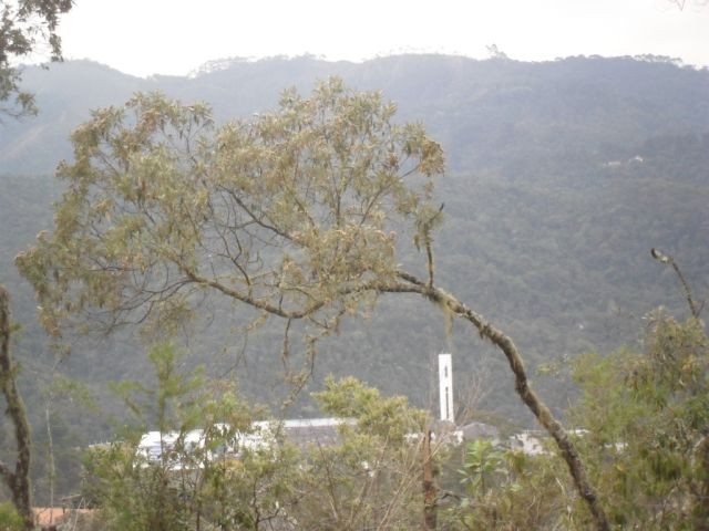 0 para Casas - Venda em Campos do Jordão