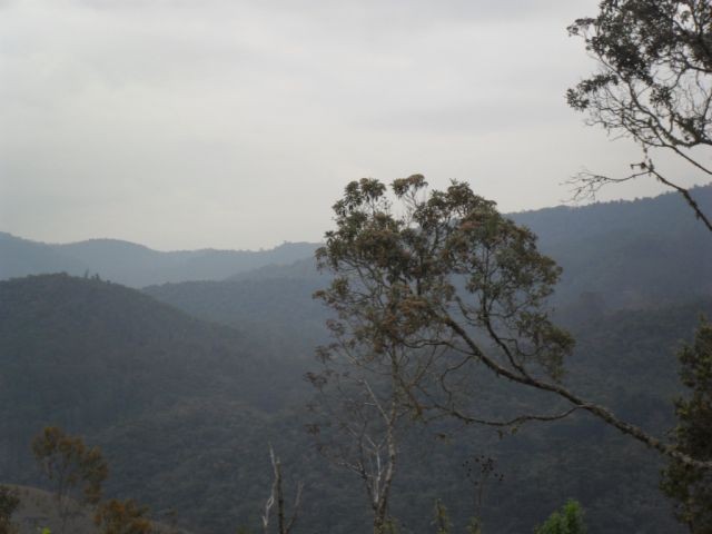 0 para Casas - Venda em Campos do Jordão
