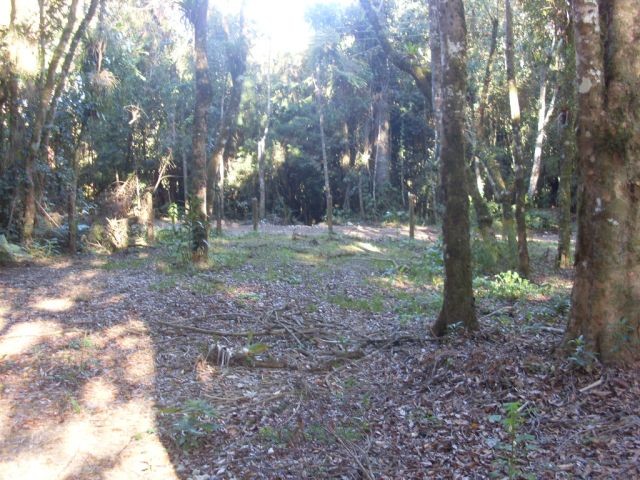 Terreno para Venda