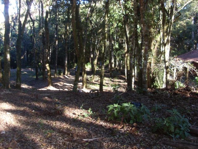 0 para Terrenos - Venda em Campos do Jordão