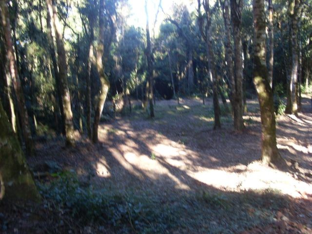 0 para Terrenos - Venda em Campos do Jordão