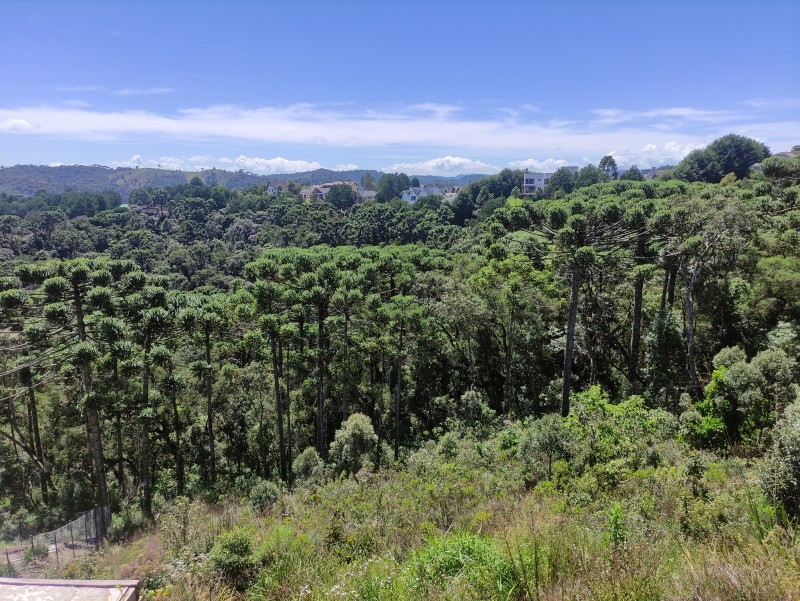 Terreno Venda Descansópolis